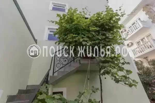 «Фазелис», Лазаревское «Фазелис», Лазаревское