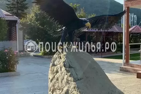 «Водолей», Небуг