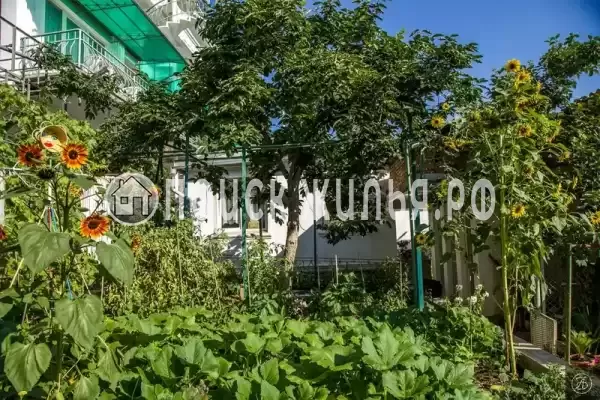 Гостевой дом «У афанасия», Алушта Гостевой дом «У афанасия», Алушта