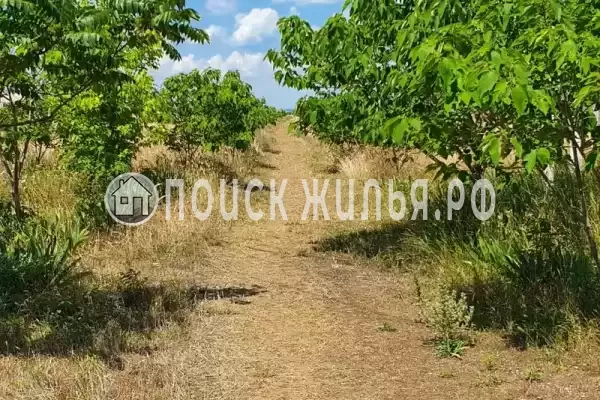 «Анастасия», Николаевка