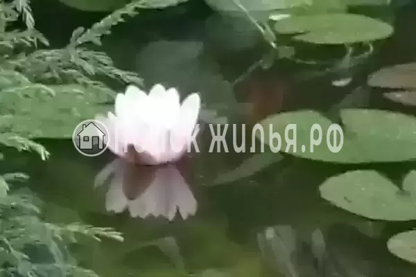 Дом под ключ «Сосновый бор», Лазаревское