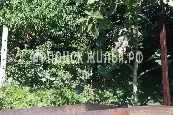 Частный сектор «В гостях у тети Аси», Гагра