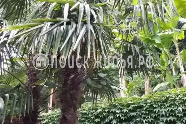 «Алые паруса», Краснодарский край, Сочи, Волконка, Ольховая, д.12/2