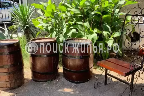 Гостевой дом «Пицунда», Пицунда Гостевой дом «Пицунда», Пицунда