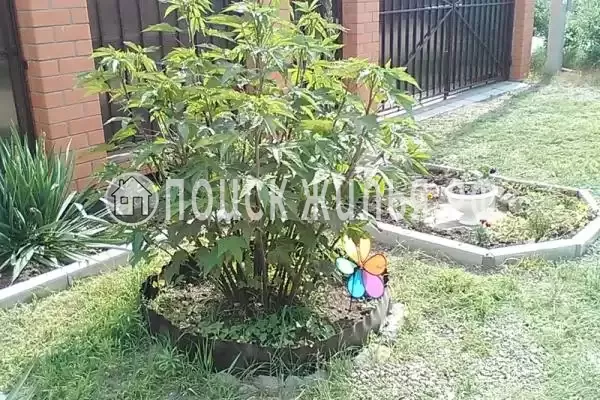 Дом под ключ, Янтарная, д.2, Голубицкая