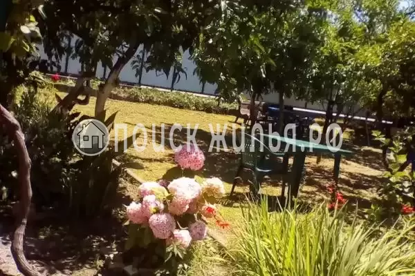 Гостевой дом «Бриз», Пицунда Гостевой дом «Бриз», Пицунда