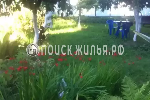 Гостевой дом «Бриз», Пицунда Гостевой дом «Бриз», Пицунда