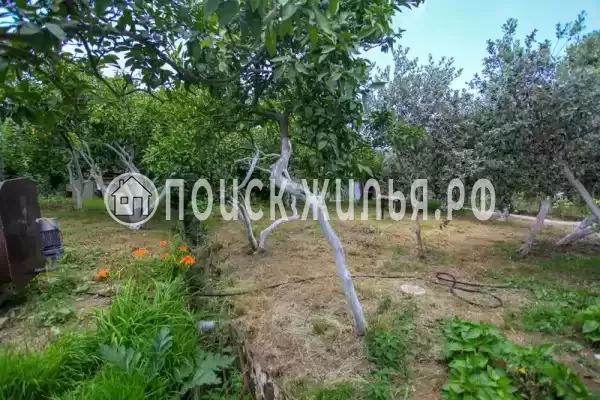 Гостевой дом «У Бори», Гагра Гостевой дом «У Бори», Гагра