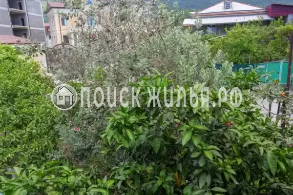 Гостевой дом «У Бори», Гагра Гостевой дом «У Бори», Гагра