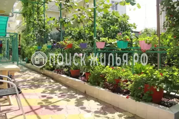 «Бархат», Адлер