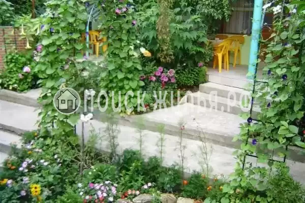 «Эдельвейс», Новомихайловский «Эдельвейс», Новомихайловский