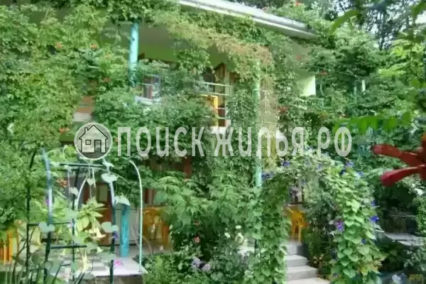 «Эдельвейс», Новомихайловский «Эдельвейс», Новомихайловский