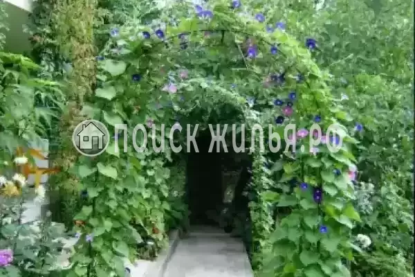 «Эдельвейс», Новомихайловский «Эдельвейс», Новомихайловский