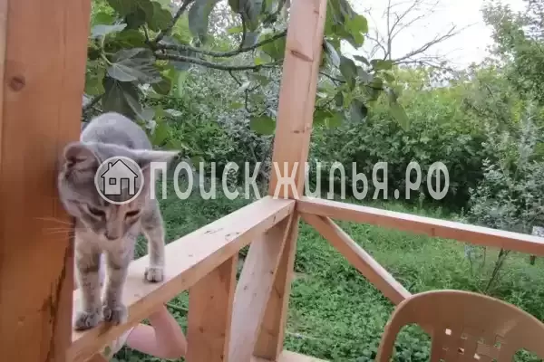 Гостевой дом «Зеленый дворик», Гагра