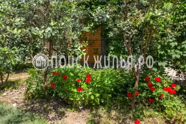 Гостевой дом «Зеленый дворик», Гагра