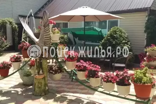 «Орхидея», Пляхо «Орхидея», Пляхо