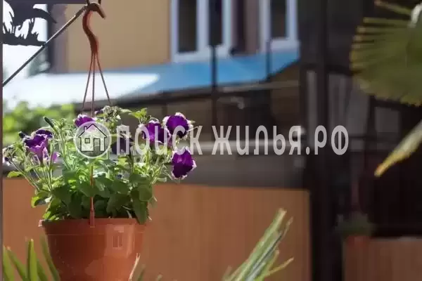 «Ульяна», Адлер