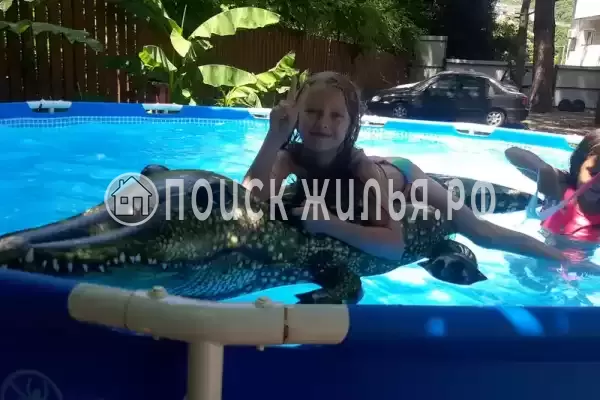 Гостевой дом «Сосновый двор»