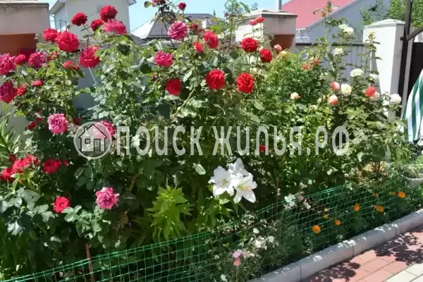 Частный сектор «Странник», Геленджик