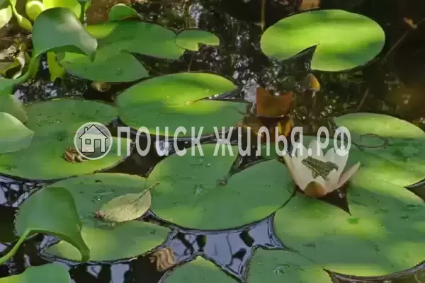 Частный сектор «У Риммы», Цандрипш