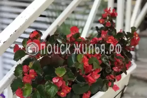 Отель «Dadayan», Лазаревское Отель «Dadayan», Лазаревское