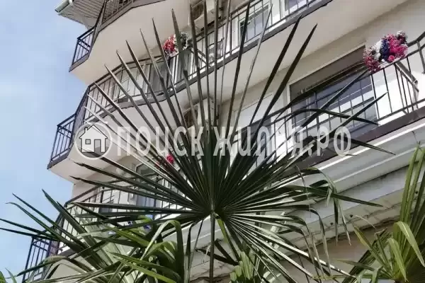 «Афродита», Агой