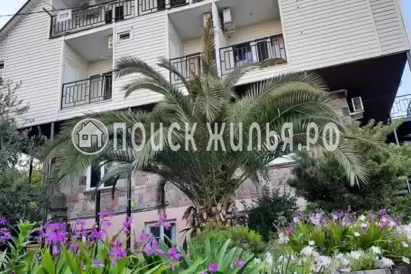 Гостевой дом «Флора», Республика Абхазия, Цандрипш, Октябрьская, д.100