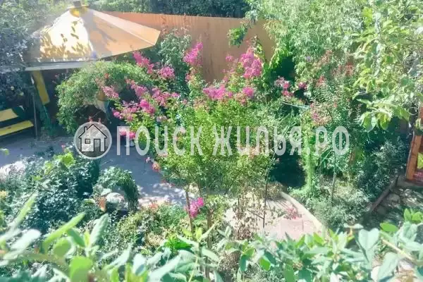 «Алиса», Солоники «Алиса», Солоники