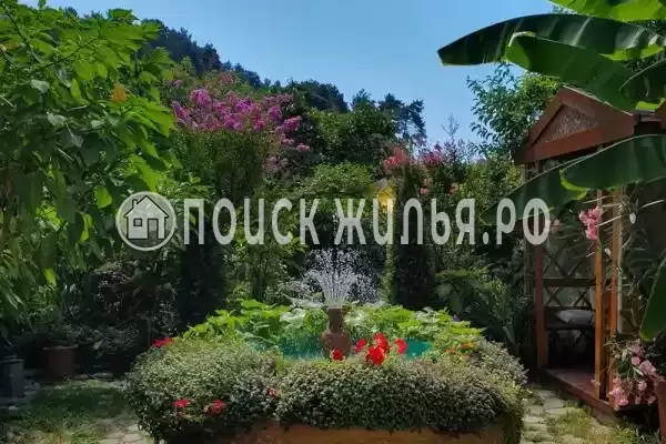 «Алиса», Солоники «Алиса», Солоники