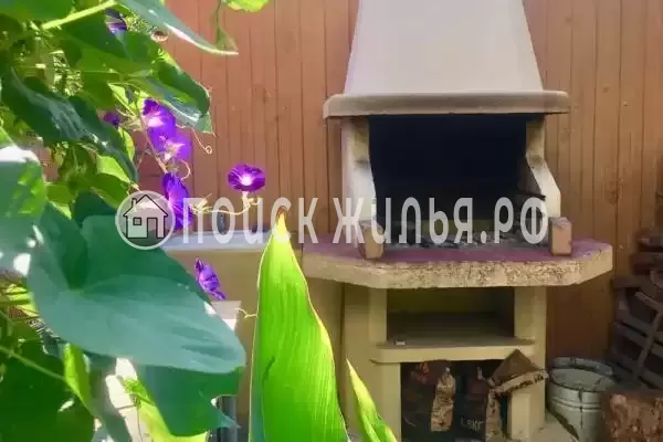 «Алиса», Солоники «Алиса», Солоники