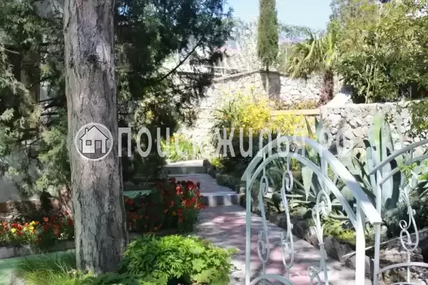 «АнНи», Гаспра