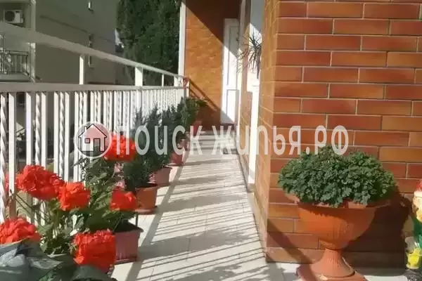 «Прибрежный», Адлер