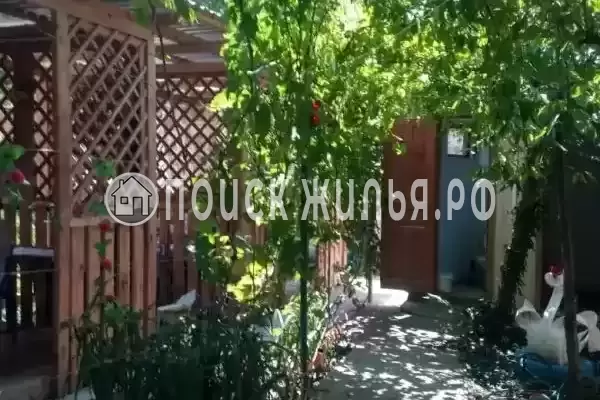 «Человек солнца», Бетта