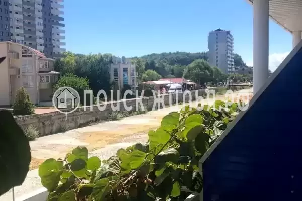 «Kivi», Ольгинка