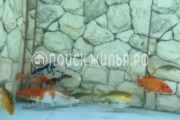 Частный сектор «Светлана», Вардане