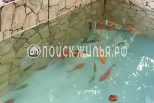 Частный сектор «Светлана», Вардане