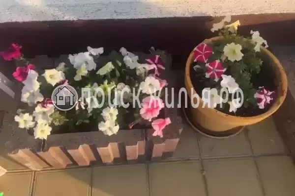 «На Приазовской», Голубицкая