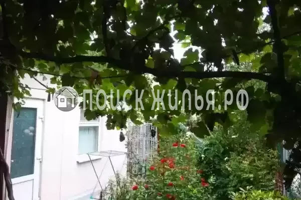 Частный сектор «Зеленый дворик», Анапа