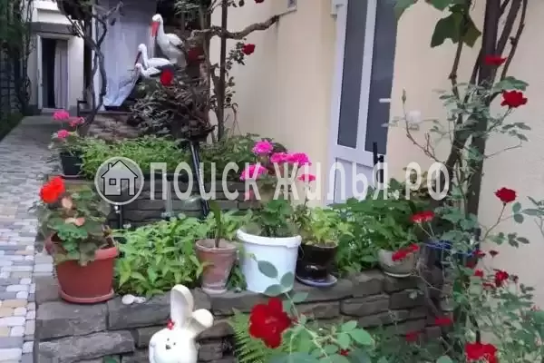 «Золотая рыбка», Архипо-Осиповка