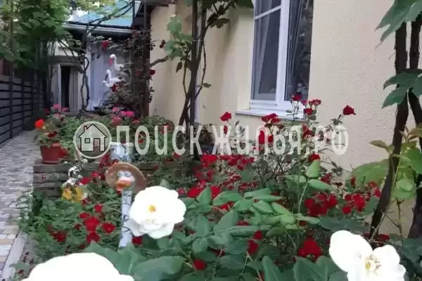 «Золотая рыбка», Архипо-Осиповка