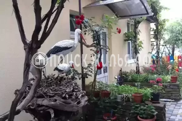 «Золотая рыбка», Архипо-Осиповка