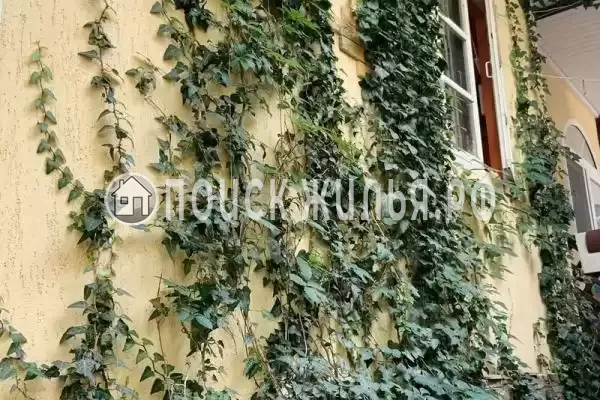 «Сергей & Ирина», Джемете