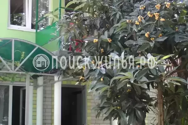 «Белый ирис», Лазаревское