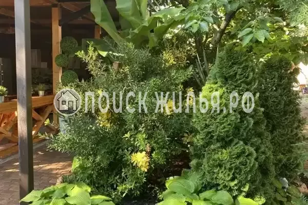 «Глафира», Дивноморское «Глафира», Дивноморское