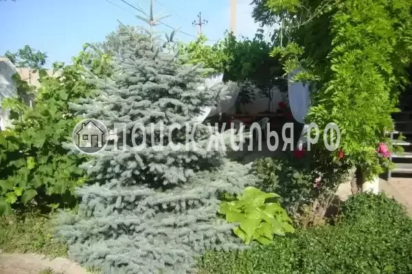 Частный сектор «Оазис», Береговое