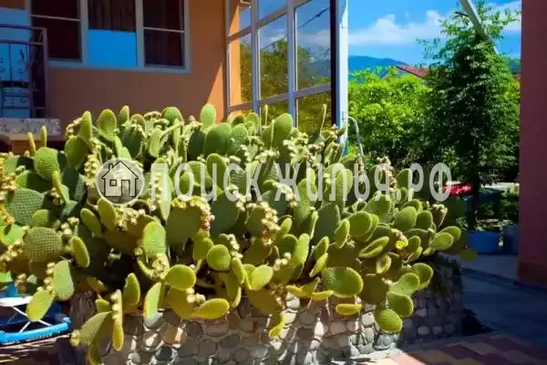 Гостевой дом «Отдых у Марины», Пицунда