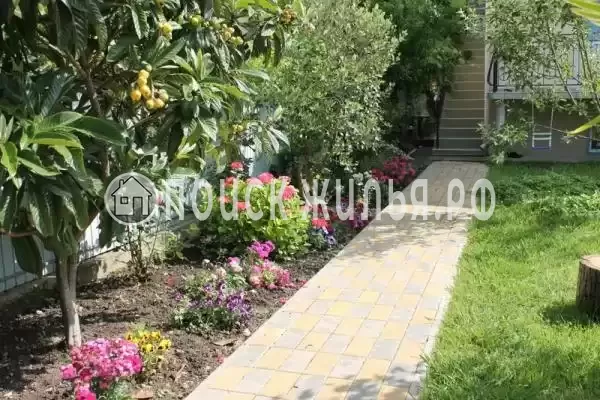 «Лужайка», Лазаревское