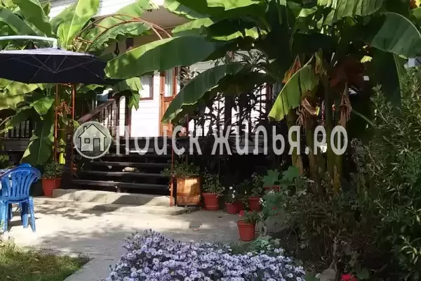 Сочинская, д.33, Шепси