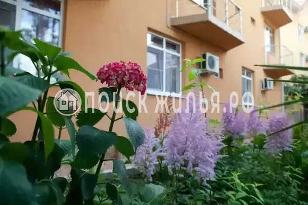 «Мали», Адлер