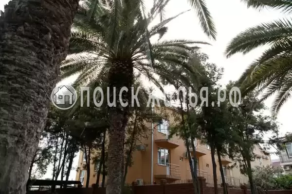 «Мали», Адлер